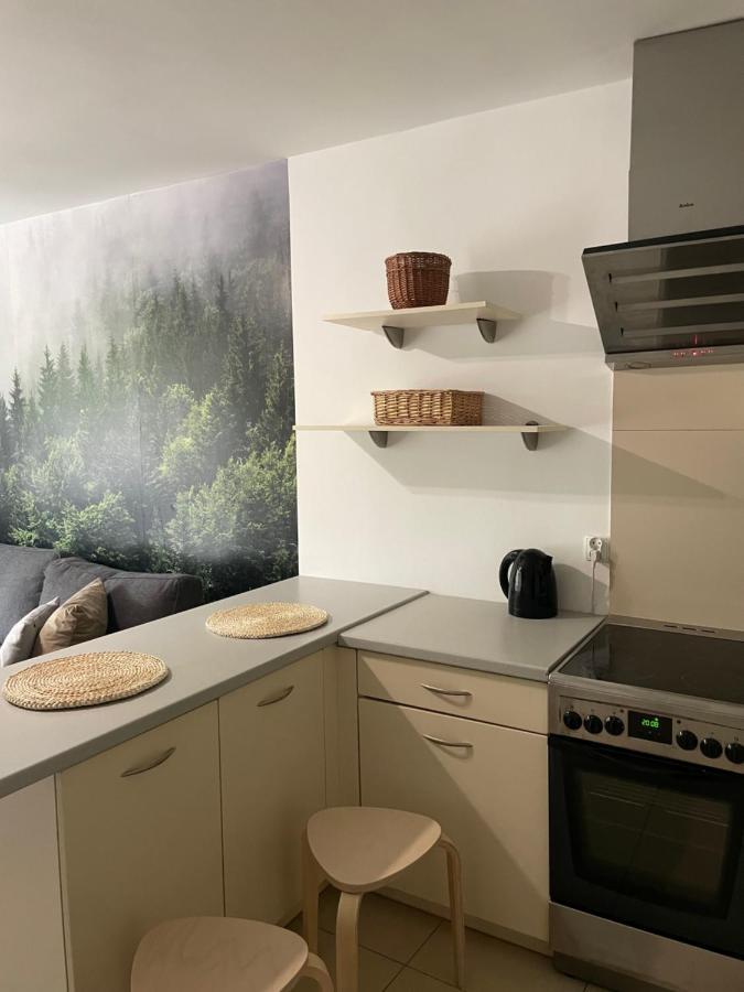 Kasprusie 10 By Homeprime Zakopane Luaran gambar
