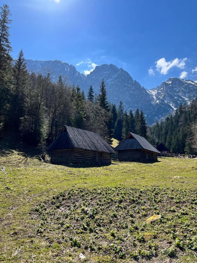 Kasprusie 10 By Homeprime Zakopane Luaran gambar