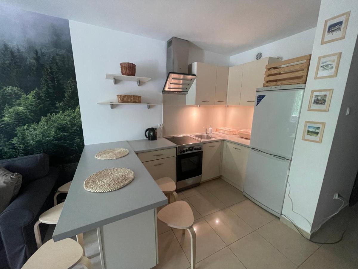 Kasprusie 10 By Homeprime Zakopane Luaran gambar